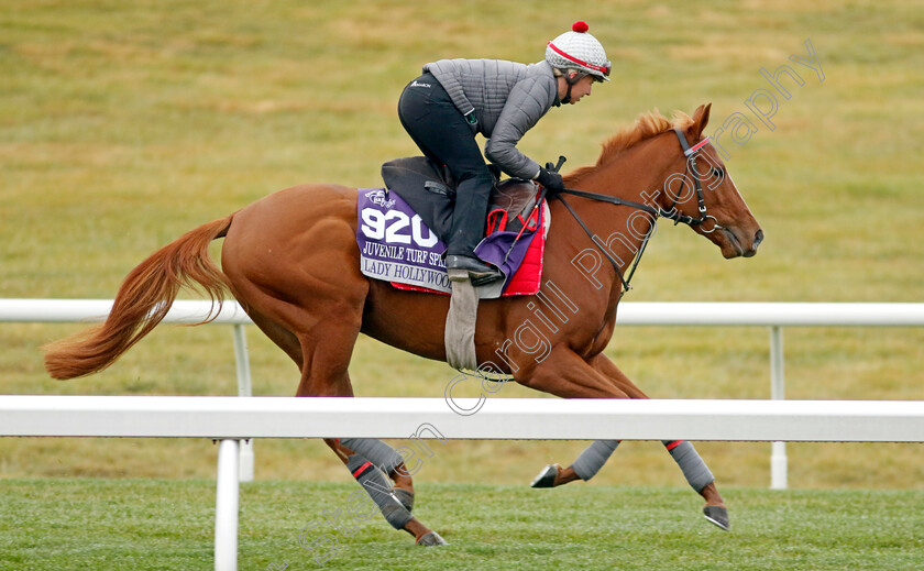 Lady-Hollywood-0001 
 LADY HOLLYWOOD training for the Breeders' Cup Juvenile Turf Sprint
Keeneland USA 2 Nov 2022 - Pic Steven Cargill / Racingfotos.com