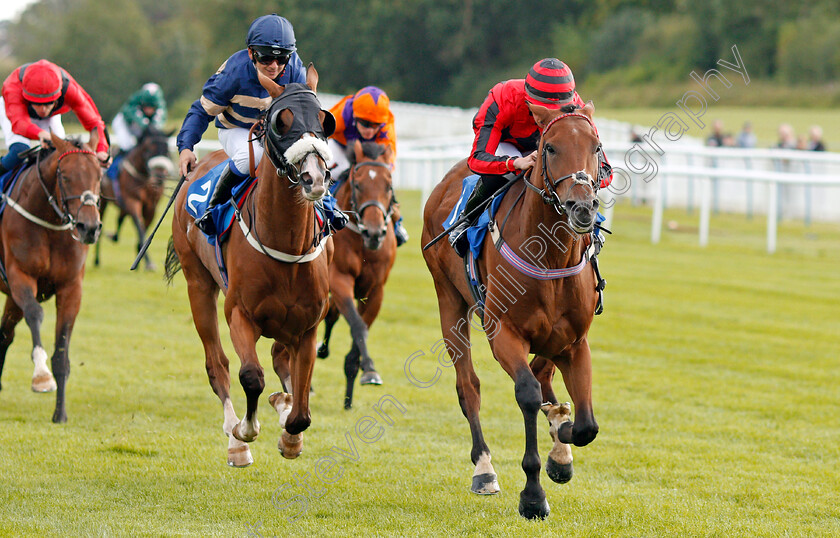 Sea-Of-Mystery-0004 
 SEA OF MYSTERY (Mark Crehan) beats ORANGE SUIT (left) in The Swan Apprentice Handicap
Leicester 10 Sep 2019 - Pic Steven Cargill / Racingfotos.com