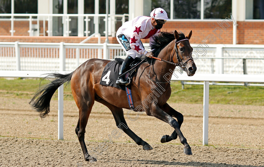 Complexo-0001 
 COMPLEXO (Stevie Donohoe)
Chelmsford 20 Sep 2020 - Pic Steven Cargill / Racingfotos.com