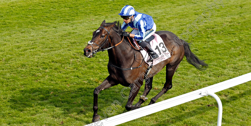 Pride-Of-America-0004 
 PRIDE OF AMERICA (Silvestre De Sousa) wins The Boodles Raindance Handicap
Chester 5 May 2022 - Pic Steven Cargill / Racingfotos.com