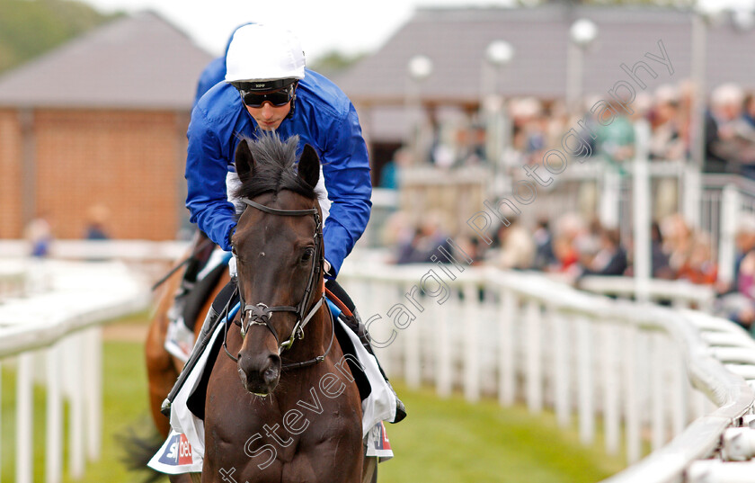 Hamada-0001 
 HAMADA (William Buick) before winning The Sky Bet First Race Special Jorvik Handicap York 16 May 2018 - Pic Steven Cargill / Racingfotos.com