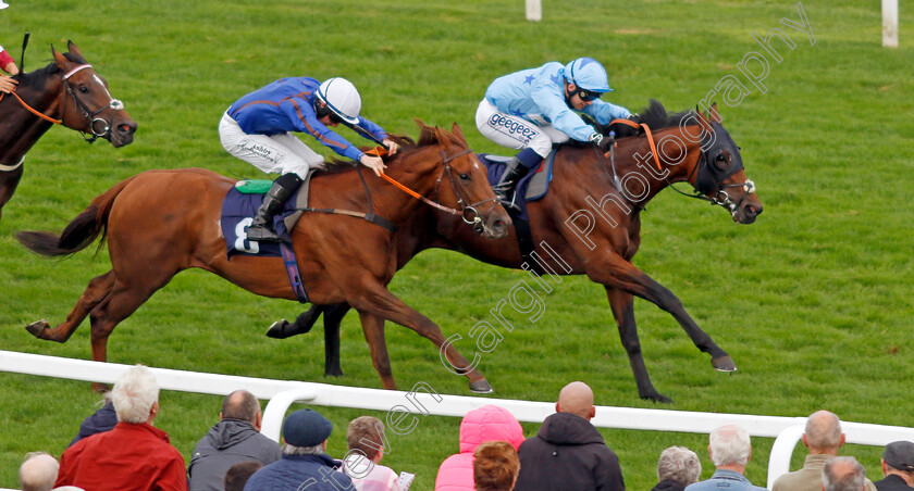 Dream-Pirate-0003 
 DREAM PIRATE (farside, Marco Ghiani) beats WHERE'S FREDDY (nearside) in The Drifters Fish & Chips Handicap
Yarmouth 21 Sep 2023 - Pic Steven Cargill / Racingfotos.com