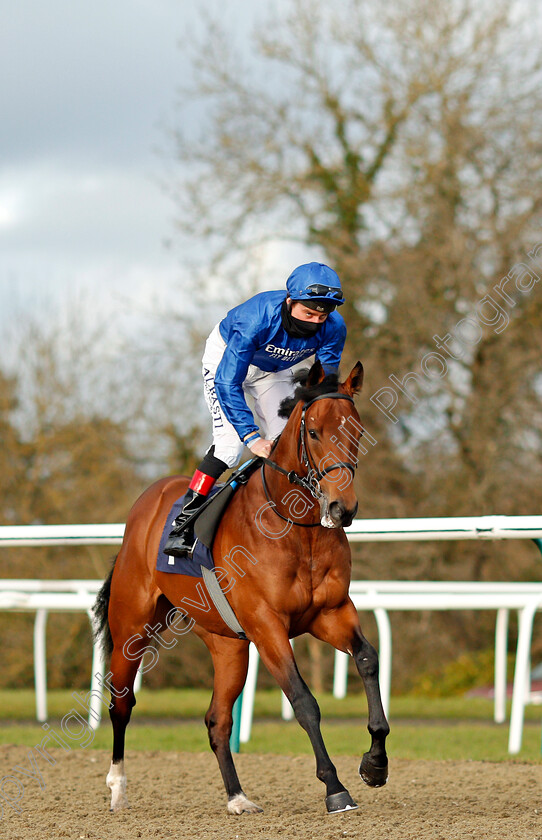 Tamborrada-0001 
 TAMBORRADA (Adam Kirby) winner of The Ladbrokes Watch Racing Online For Free Novice Stakes
Lingfield 29 Jan 2021 - Pic Steven Cargill / Racingfotos.com