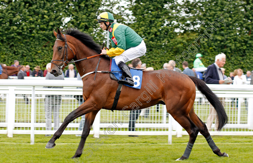 Nebuchadnezzar-0001 
 NEBUCHADNEZZAR (Fergus Sweeney) Salisbury 7 Sep 2017 - Pic Steven Cargill / Racingfotos.com