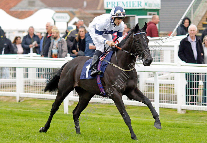 Brazen-Idol-0001 
 BRAZEN IDOL (Robert Tart)
Yarmouth 14 Sep 2021 - Pic Steven Cargill / Racingfotos.com