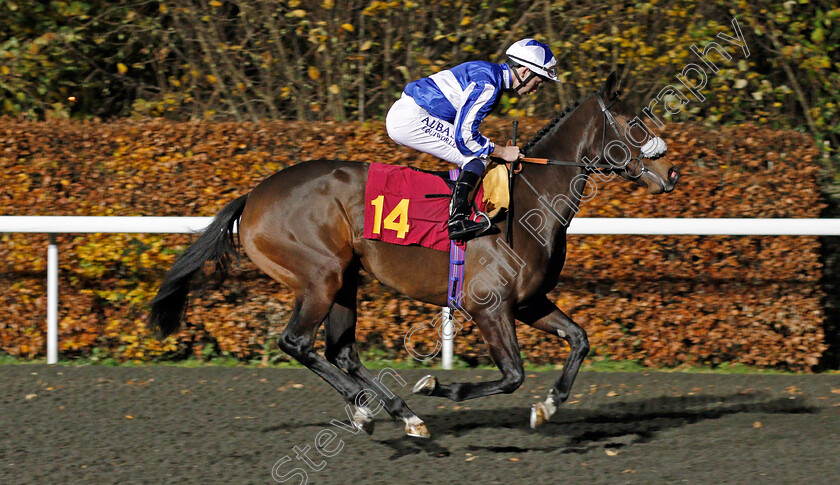 Rux-Ruxx-0001 
 RUX RUXX (Oisin Murphy) Kempton 22 Nov 2017 - Pic Steven Cargill / Racingfotos.com