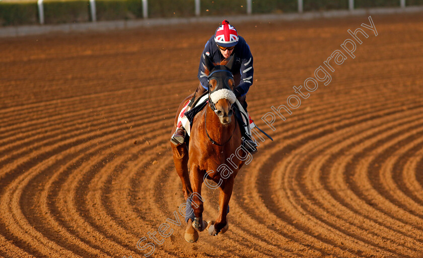 Giavellotto-0001 
 GIAVELLOTTO training for The Red Sea Turf Handicap
King Abdulaziz Racecourse, Saudi Arabia 20 Feb 2024 - Pic Steven Cargill / Racingfotos.com