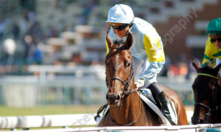 Janara-0001 
 JANARA (Stephane Pasquier)
Deauville 6 Aug 2022 - Pic Steven Cargill / Racingfotos.com