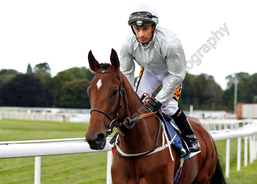 Threading-0001 
 THREADING (Silvestre De Sousa)
York 25 Aug 2018 - Pic Steven Cargill / Racingfotos.com