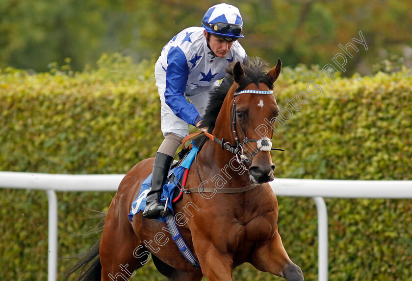 Aspire-To-Glory-0001 
 ASPIRE TO GLORY (Kieran O'Neill)
Kempton 8 Sep 2023 - Pic Steven Cargill / Racingfotos.com