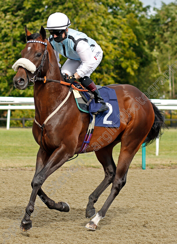 The-Perfect-Crown-0001 
 THE PERFECT CROWN (Hollie Doyle) before The Betway Novice Stakes
Lingfield 4 Aug 2020 - Pic Steven Cargill / Racingfotos.com