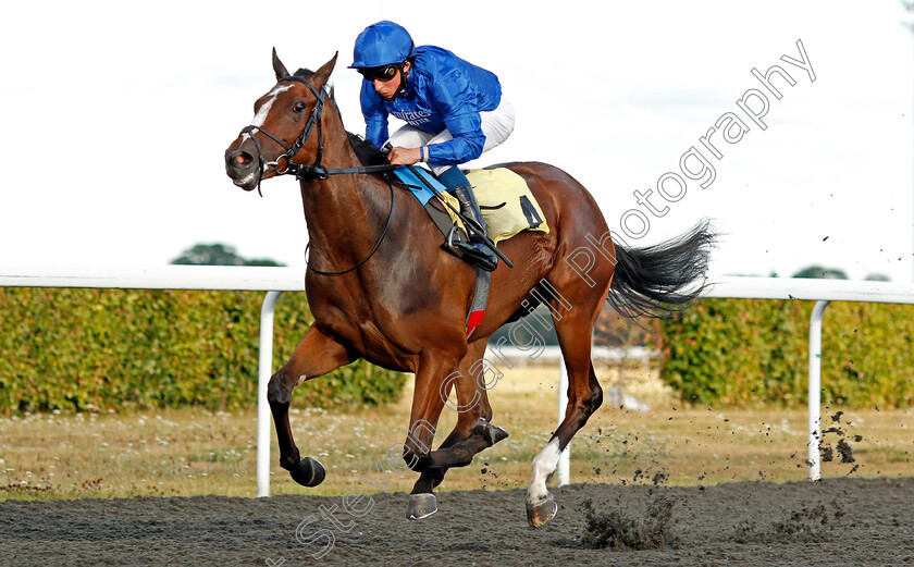 Renaissance-Rose-0002 
 RENAISSANCE ROSE (William Buick) wins The Unibet Extra Race Offers Every Day Fillies Novice Stakes
Kempton 18 Aug 2020 - Pic Steven Cargill / Racingfotos.com