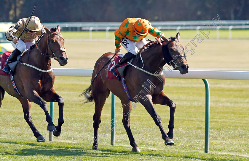 Love-Is-Golden-0005 
 LOVE IS GOLDEN (right, Richard Kingscote) beats POLYPHONIC (left) in The Common Sense Lending Handicap
Haydock 1 Sep 2022 - Pic Steven Cargill / Racingfotos.com