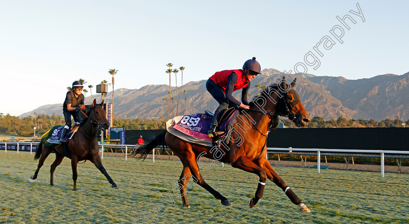 Living-In-The-Past-0001 
 LIVING IN THE PAST training for the Breeders' Cup Juvenile Fillies Turf
Santa Anita USA 30 Oct 2019 - Pic Steven Cargill / Racingfotos.com