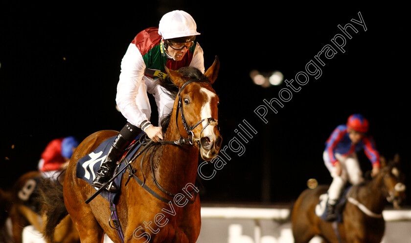 She s-Got-You-0008 
 SHE'S GOT YOU (Robert Havlin) wins The Ladbrokes Home Of The Odds Boost Fillies Novice Stakes Div1
Wolverhampton 10 Dec 2018 - Pic Steven Cargill / Racingfotos.com