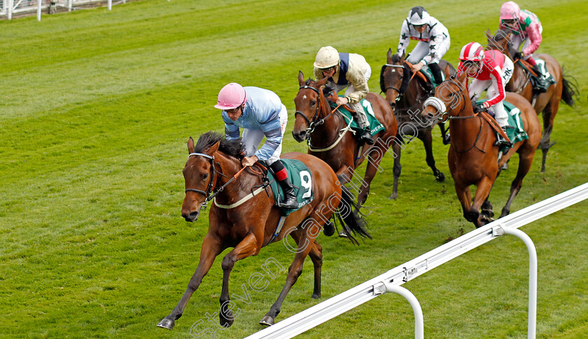 Wintercrack-0002 
 WINTERCRACK (Shane Kelly)
Chester 10 May 2023 - pic Steven Cargill / Racingfotos.com