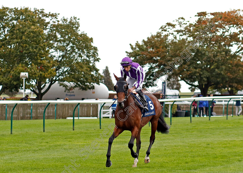 Monumental-0001 
 MONUMENTAL (Ryan Moore)
Newmarket 26 Sep 2024 - pic Steven Cargill / Racingfotos.com