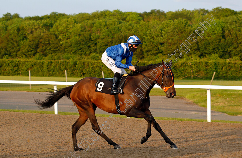 Mowaleda-0002 
 MOWALEDA (Dane O'Neill)
Chelmsford 3 Jun 2021 - Pic Steven Cargill / Racingfotos.com