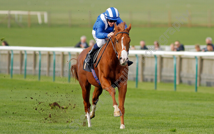 Ehraz-0002 
 EHRAZ (Jim Crowley) wins The British Stallion Studs EBF Conditions Stakes
Newmarket 28 Oct 2022 - Pic Steven Cargill / Racingfotos.com