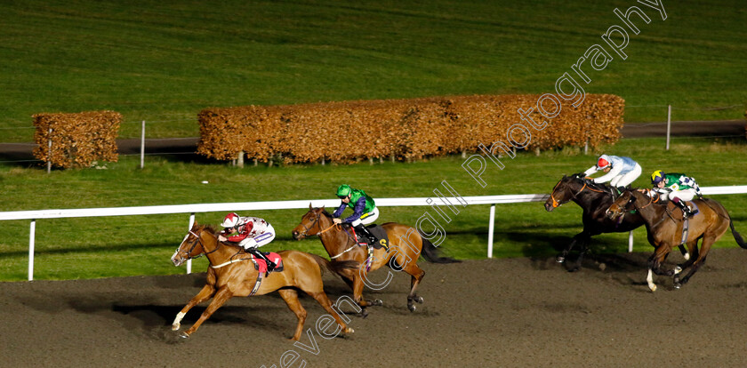 Tennessee-Gold-0004 
 TENNESSEE GOLD (Daniel Muscutt) wins The Unibet Handicap
Kempton 11 Dec 2024 - Pic Steven Cargill / Racingfotos.com