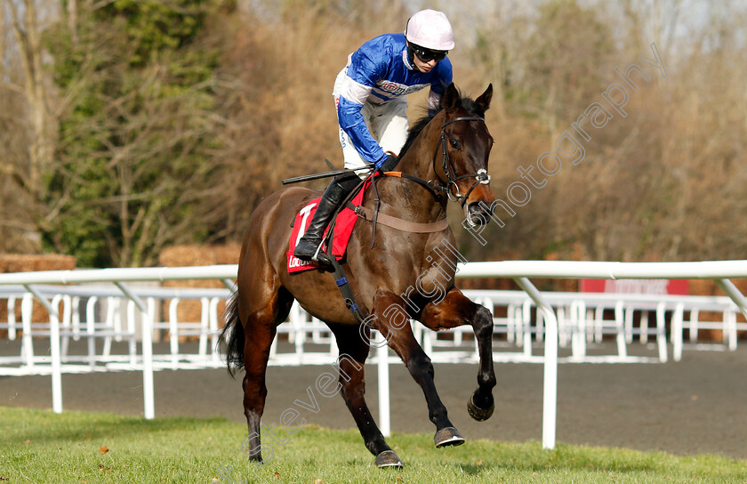 Sauvignon-0001 
 SAUVIGNON (Harry Cobden)
Kempton 22 Feb 2025 - Pic Steven Cargill / Racingfotos.com