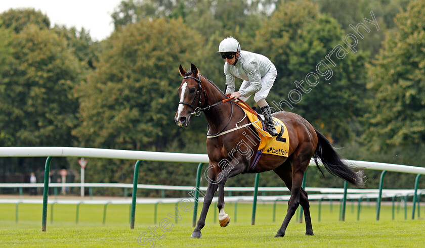 Golden-Flame-0001 
 GOLDEN FLAME (Joe Fanning) winner of The My Odds Boost On Betfair Handicap
Haydock 4 Sep 2021 - Pic Steven Cargill / Racingfotos.com