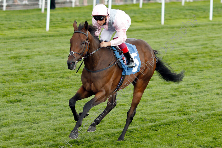 Lah-Ti-Dar-0007 
 LAH TI DAR (Frankie Dettori) wins The British EBF & Sir Henry Cecil Galtres Stakes
York 23 Aug 2018 - Pic Steven Cargill / Racingfotos.com