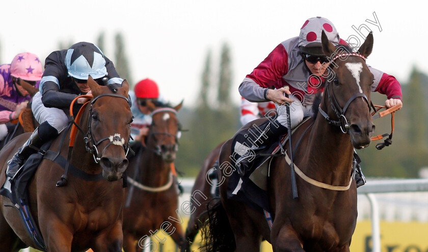 Pledge-Of-Honour-0003 
 PLEDGE OF HONOUR (right, Liam Keniry) beats KATTANI (left) in The Pierre Vaudon Champagne Handicap
Newbury 18 Sep 2020 - Pic Steven Cargill / Racingfotos.com