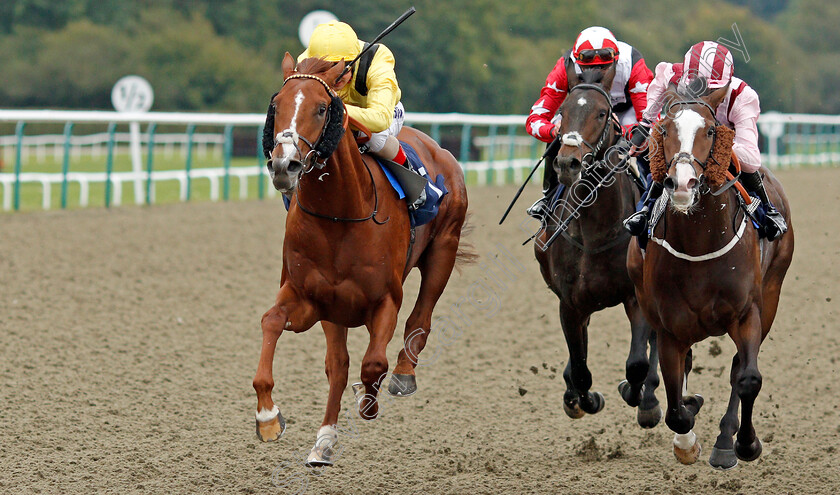 Qaaddim-0005 
 QAADDIM (left, Andrea Atzeni) beats PITCHCOMBE (right) in The Shard Solutions And Origin Nursery
Lingfield 3 Oct 2019 - Pic Steven Cargill / Racingfotos.com