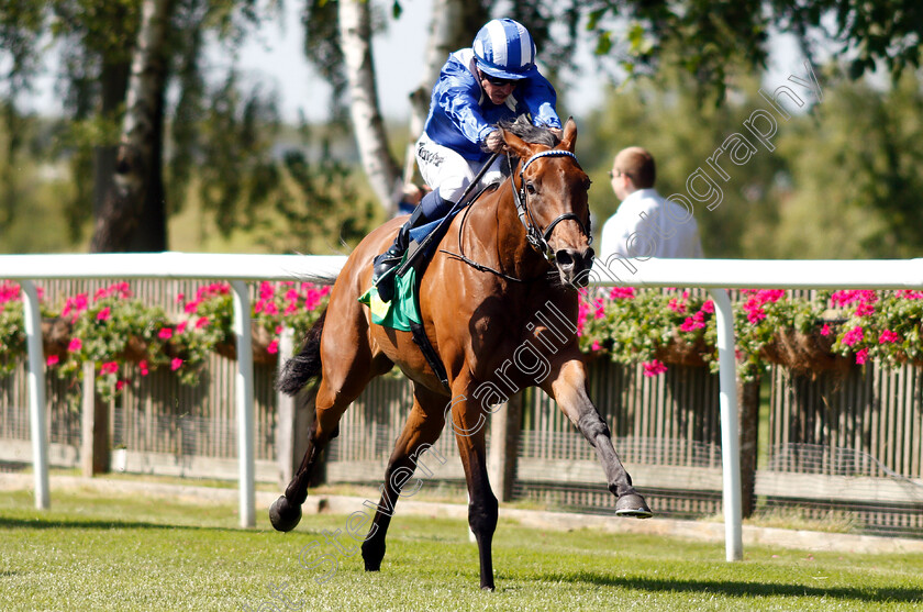 Nazeef-0003 
 NAZEEF (Jim Crowley) wins The Trm Kurasyn 360x Maiden Stakes
Newmarket 27 Jun 2019 - Pic Steven Cargill / Racingfotos.com