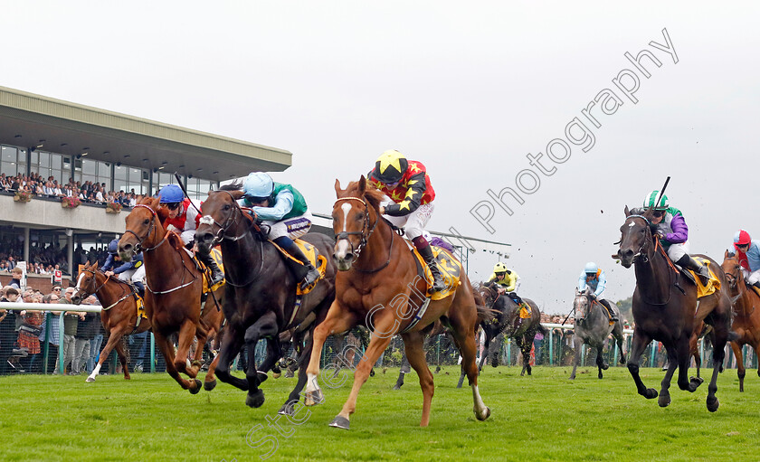 Montassib-0002 
 MONTASSIB (Cieren Fallon) wins The Betfair Sprint Cup
Haydock 7 Sep 2024 - Pic Steven Cargill / Racingfotos.com