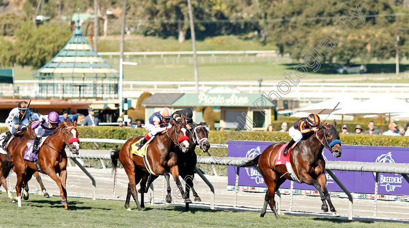 Rayana-0001 
 RAYANA (Joel Rosario) wins Allowance
Santa Anita USA 1 Nov 2019 - Pic Steven Cargill / Racingfotos.com