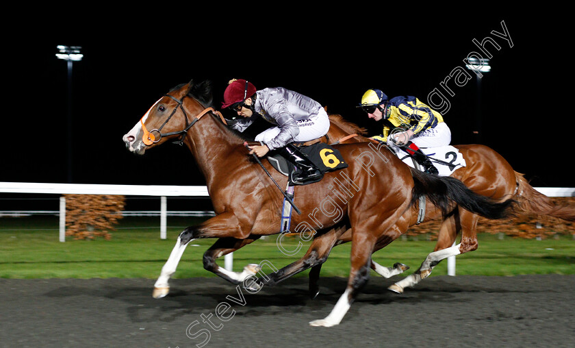 Qaysar-0005 
 QAYSAR (Sean Levey) wins The 32Red Casino EBFstallions.com Novice Stakes Div2 Kempton 22 Nov 2017 - Pic Steven Cargill / Racingfotos.com