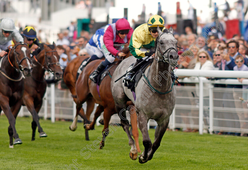 Lord-Riddiford-0003 
 LORD RIDDIFORD (Hollie Doyle) wins The Back To Goodwood Handicap
Goodwood 27 Jul 2021 - Pic Steven Cargill / Racingfotos.com