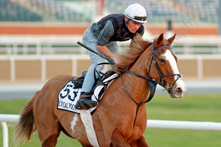 Lyrical-Poetry-0001 
 LYRICAL POETRY training at the Dubai World Cup Carnival
Meydan 5 Jan 2023 - Pic Steven Cargill / Racingfotos.com