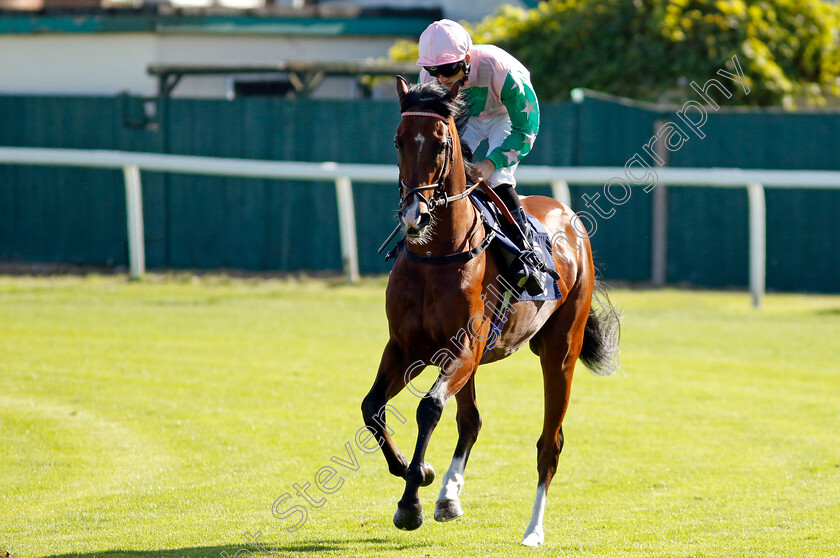 Kisskodi-0001 
 KISSKODI (George Wood)
Yarmouth 17 Sep 2024 - Pic Steven Cargill / Racingfotos.com