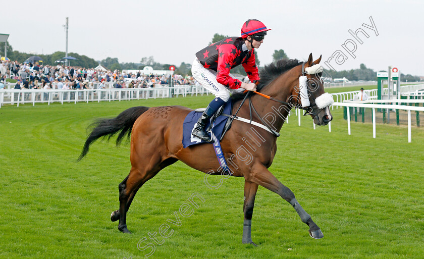 Pistoletto-0001 
 PISTOLETTO (Darragh Keenan)
Yarmouth 16 Sep 2021 - Pic Steven Cargill / Racingfotos.com