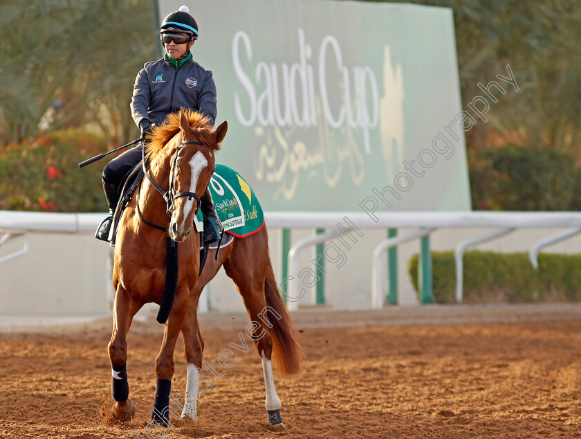 Derma-Sotogake-0001 
 DERMA SOTOGAKE training for The Saudi Cup
King Abdulaziz Racecourse, Saudi Arabia 20 Feb 2024 - Pic Steven Cargill / Racingfotos.com