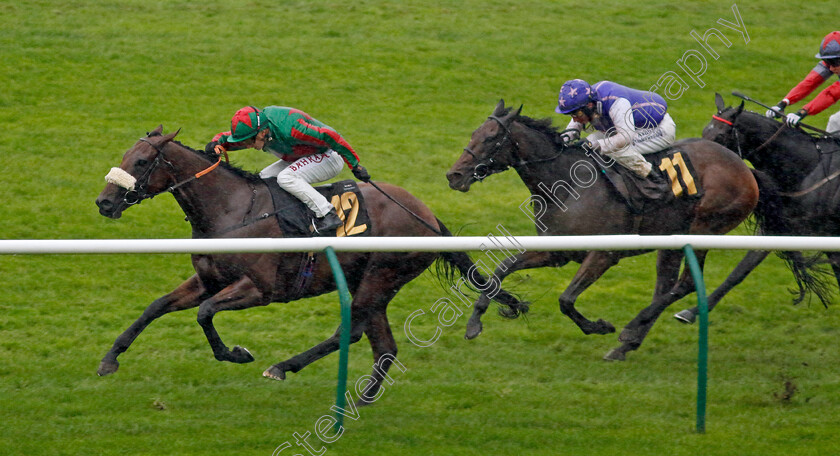 Terries-Royale-0004 
 TERRIES ROYALE (Tom Marquand) wins The Ultimate Provence Handicap
Newmarket 26 Sep 2024 - Pic Steven Cargill / Racingfotos.com