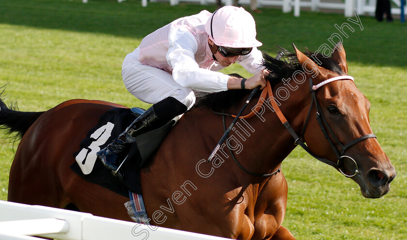 Alexana-0004 
 ALEXANA (James Doyle) wins The Garden For All Seasons Novice Stakes
Ascot 7 Sep 2018 - Pic Steven Cargill / Racingfotos.com