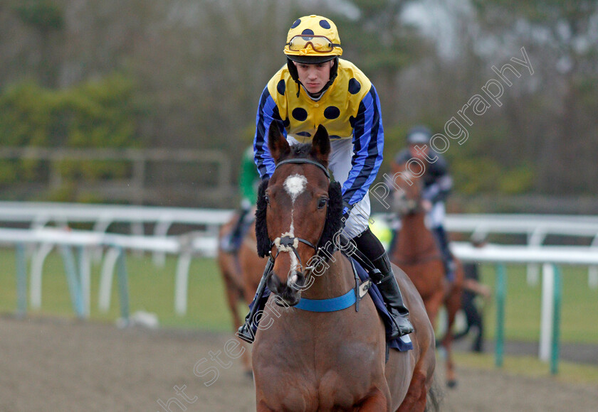 Bertie-Blu-Boy-0001 
 BERTIE BLU BOY (Jonathan Fisher) Lingfield 12 Jan 2018 - Pic Steven Cargill / Racingfotos.com