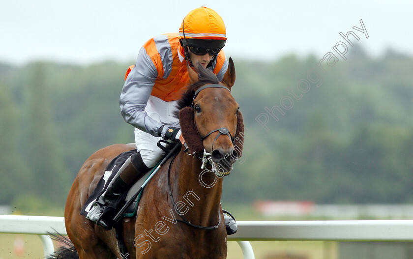 Dutch-Uncle-0007 
 DUTCH UNCLE (Charles Clover) wins The Wiser Academy Amateur Riders Handicap
Newbury 13 Jun 2019 - Pic Steven Cargill / Racingfotos.com