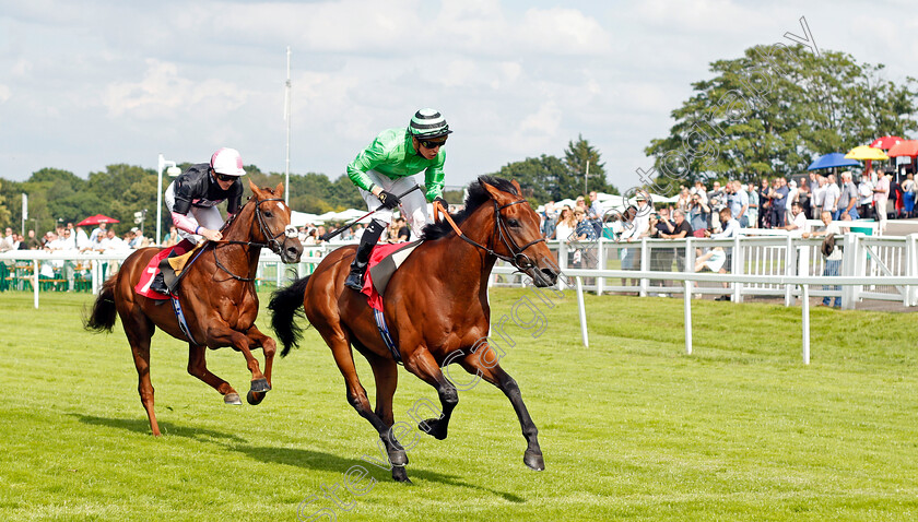 Vino-Victrix-0003 
 VINO VICTRIX (Jason Watson) wins The Davies Group Handicap
Sandown 2 Jul 2021 - Pic Steven Cargill / Racingfotos.com