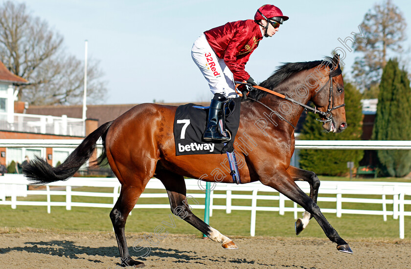 Mr-Owen-0001 
 MR OWEN (Jamie Spencer) Lingfield 24 Feb 2018 - Pic Steven Cargill / Racingfotos.com