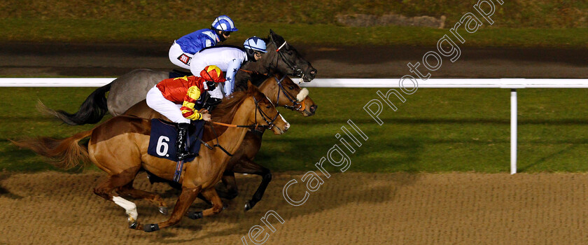 Lottie-Marie-0002 
 LOTTIE MARIE (nearside, Rhys Clutterbuck) on her way to winning The Ladbrokes Watch Racing Online For Free EBF Fillies Handicap
Wolverhampton 1 Feb 2021 - Pic Steven Cargill / Racingfotos.com