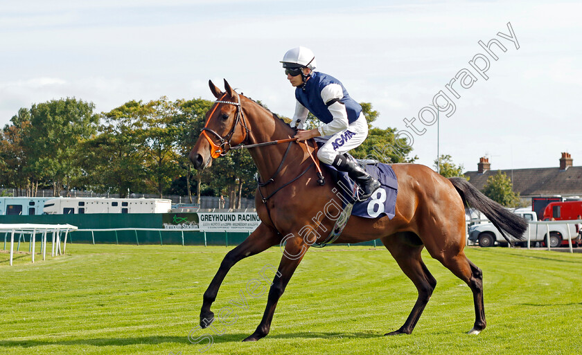 Miss-Cynthia-0001 
 MISS CYNTHIA (Luke Morris)
Yarmouth 14 Sep 2022 - Pic Steven Cargill / Racingfotos.com