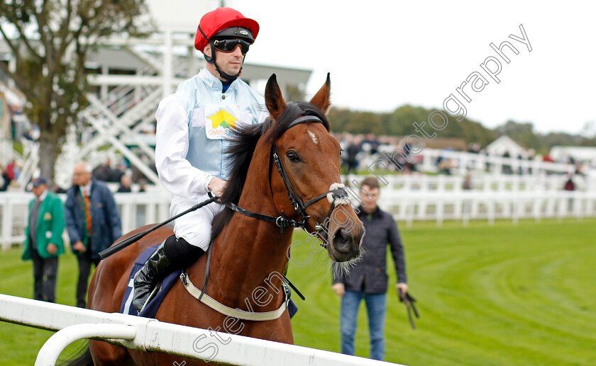 Trackman-0001 
 TRACKMAN (Jack Mitchell)
Yarmouth 16 Oct 2023 - Pic Steven Cargill / Racingfotos.com