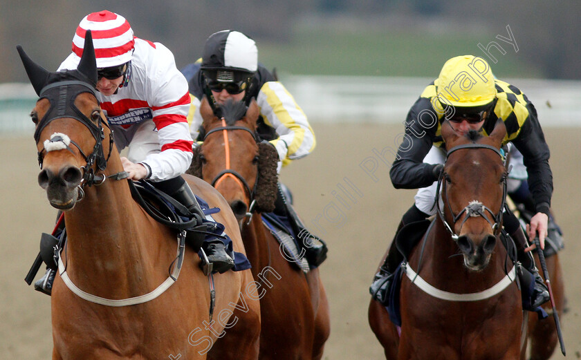 Highland-Acclaim-0004 
 HIGHLAND ACCLAIM (left, David Probert) beats BALLYQUIN (right) in The Betway Handicap
Lingfield 2 Feb 2019 - Pic Steven Cargill / Racingfotos.com