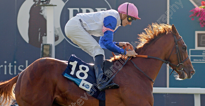 Nigiri-0002 
 NIGIRI (Hector Crouch) wins The British EBF 40th Anniversary Fillies Handicap
York 24 Aug 2023 - Pic Steven Cargill / Racingfotos.com