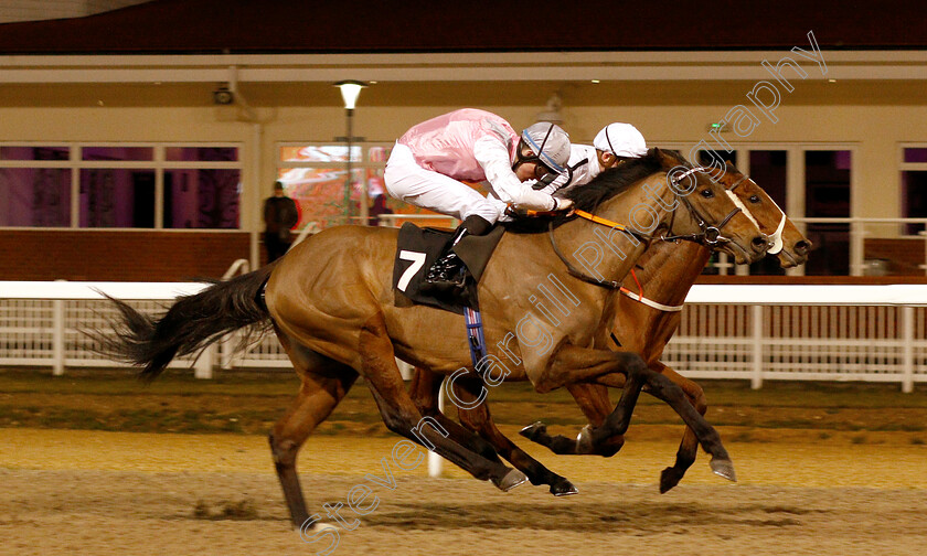 Lady-Wolf-0005 
 LADY WOLF (farside, Rob Hornby) beats CHAKRII (nearside) in The Little Leighs Handicap
Chelmsford 20 Feb 2019 - Pic Steven Cargill / Racingfotos.com